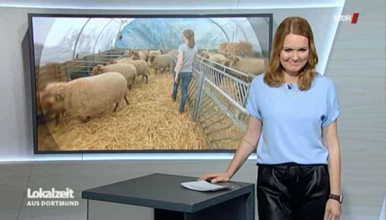 WDR zu Besuch in der Lammzeit